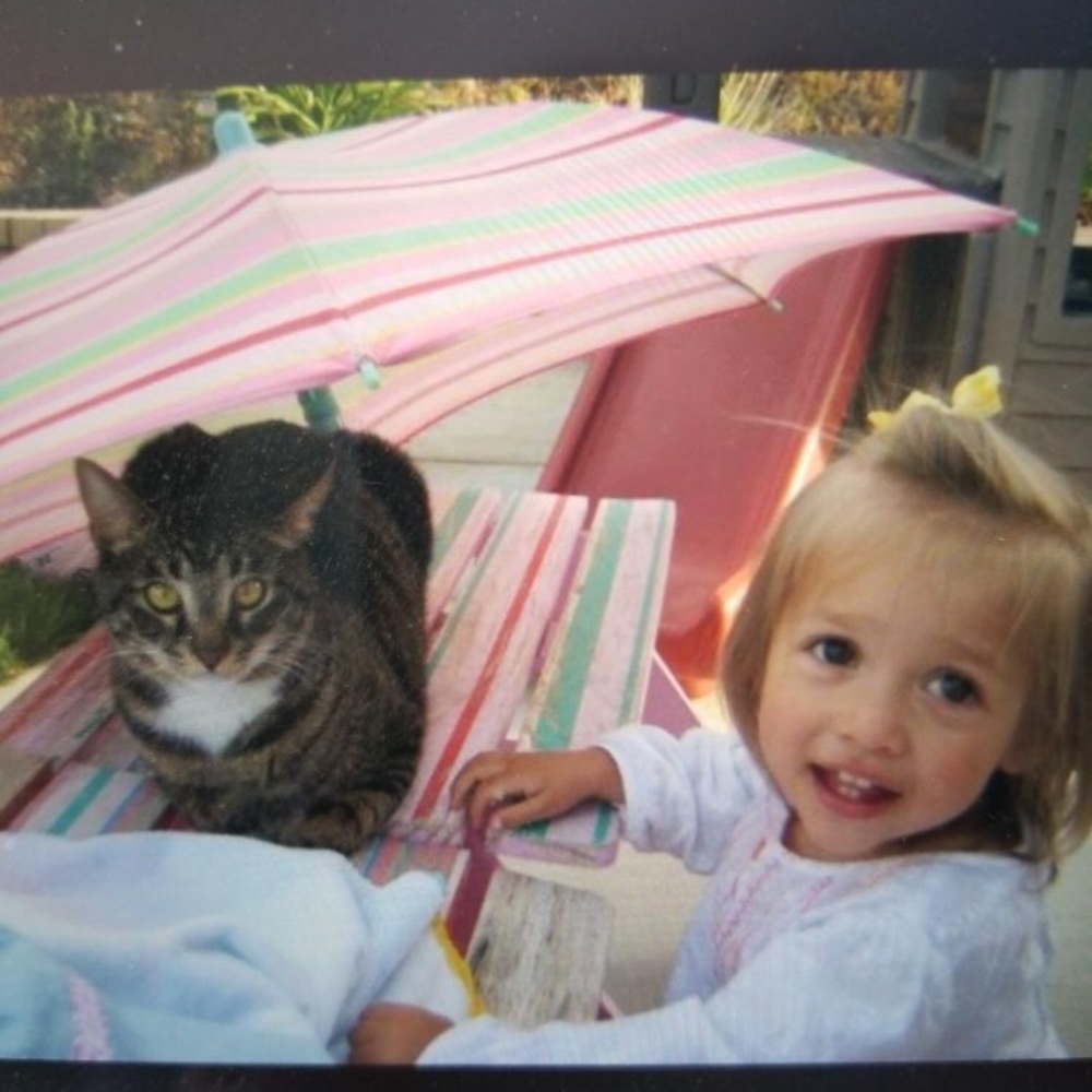 Meet your Posher, Laila